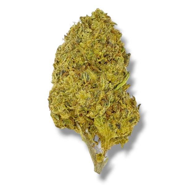Gorilla Glue Flower